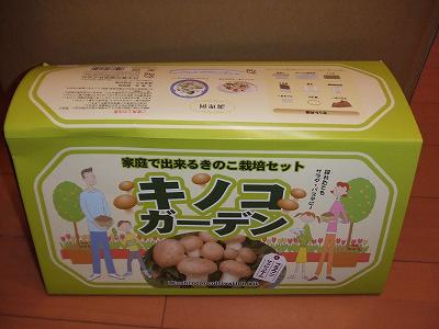 「キノコガーデン」でブラウンマッシュルーム栽培に挑戦